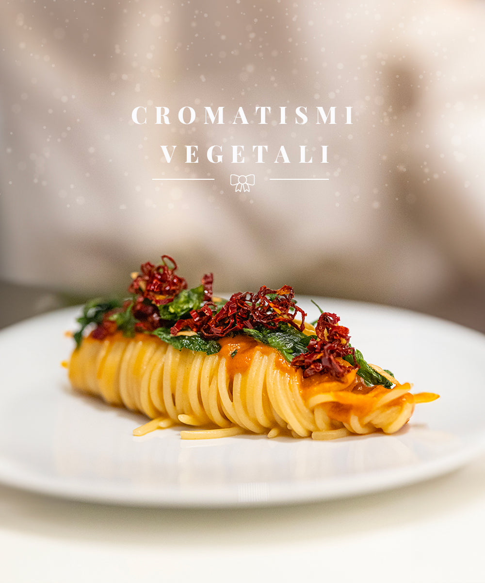 Tasting menu | Vegetable chromatisms
